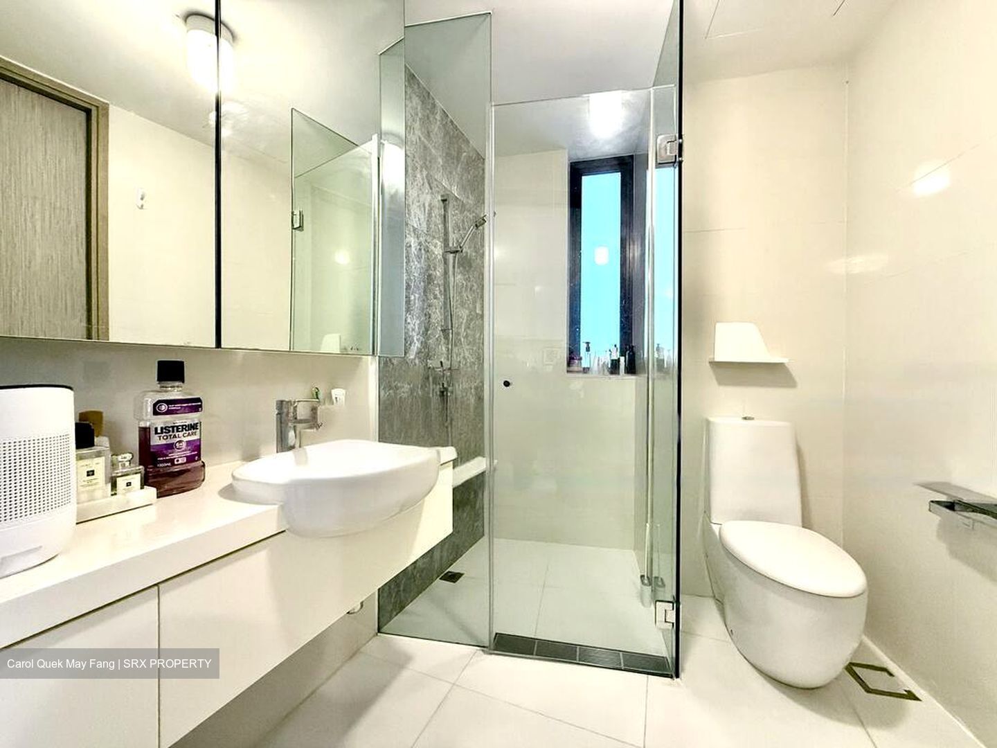 D'Leedon (D10), Condominium #483832981